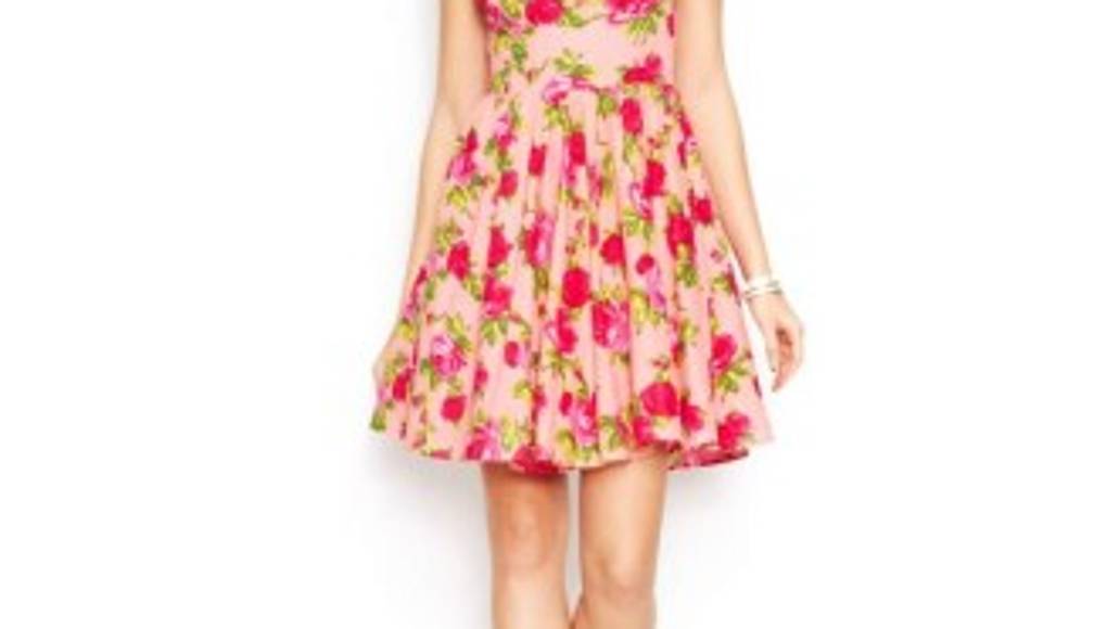 Rosas rojas, vista con la bella flor