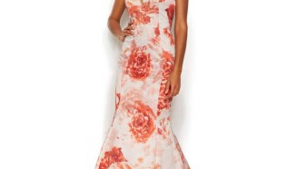 Rosas rojas, vista con la bella flor