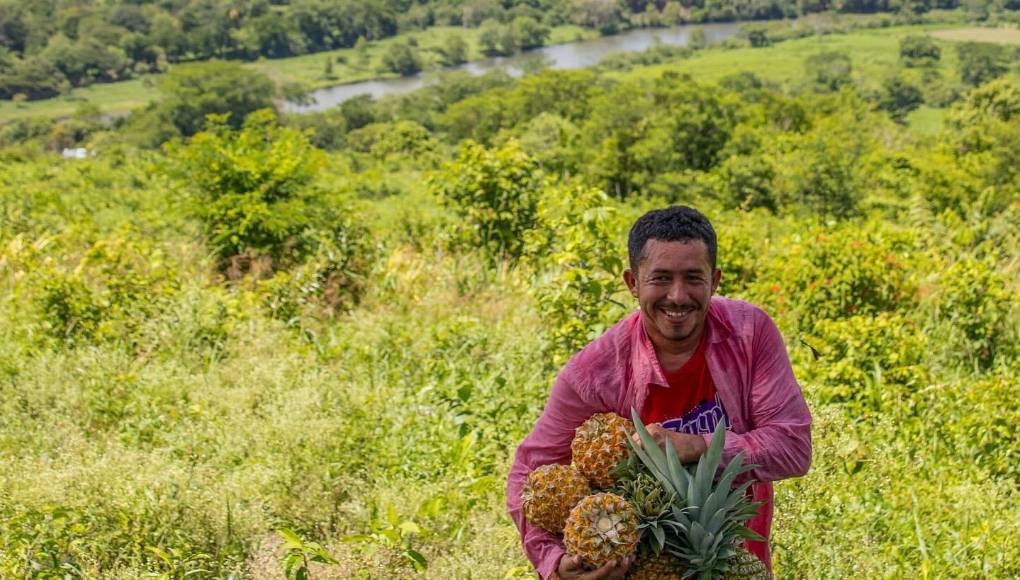 También ha construido escuelas, consultorios y establecido negocios como granjas de pollo, plataneras, piñeras y cría de ganado para que los habitantes tengan una fuente de ingresos.