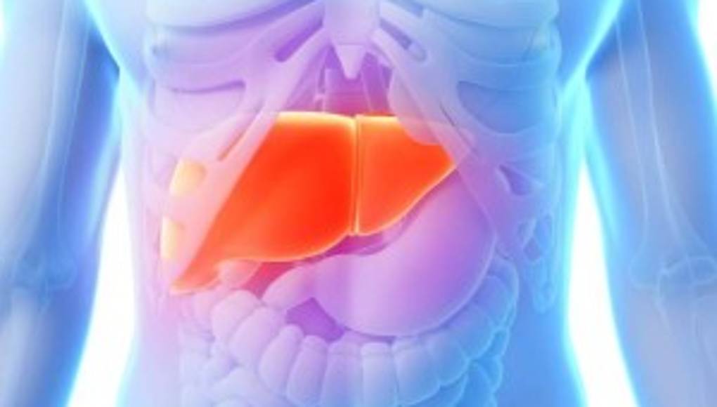 Nuevos tratamientos contra la hepatitis C&nbsp;&nbsp;