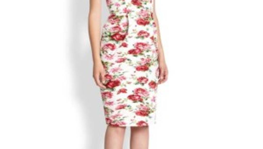 Rosas rojas, vista con la bella flor