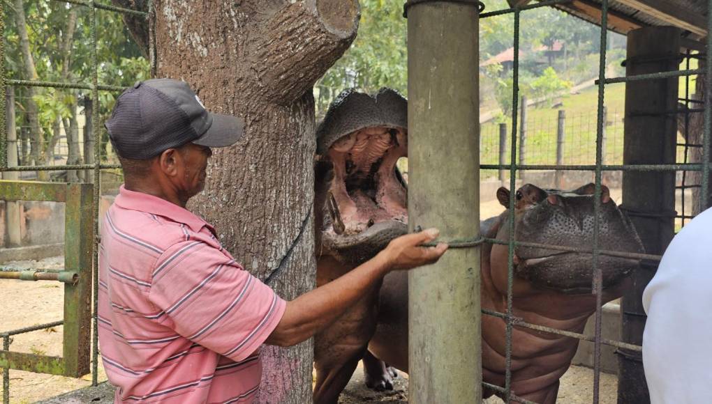 El zoológico Joya Grande está tomado por los empleados desde el sábado, está cerrado, pero ellos no han dejado de atender a los animales.