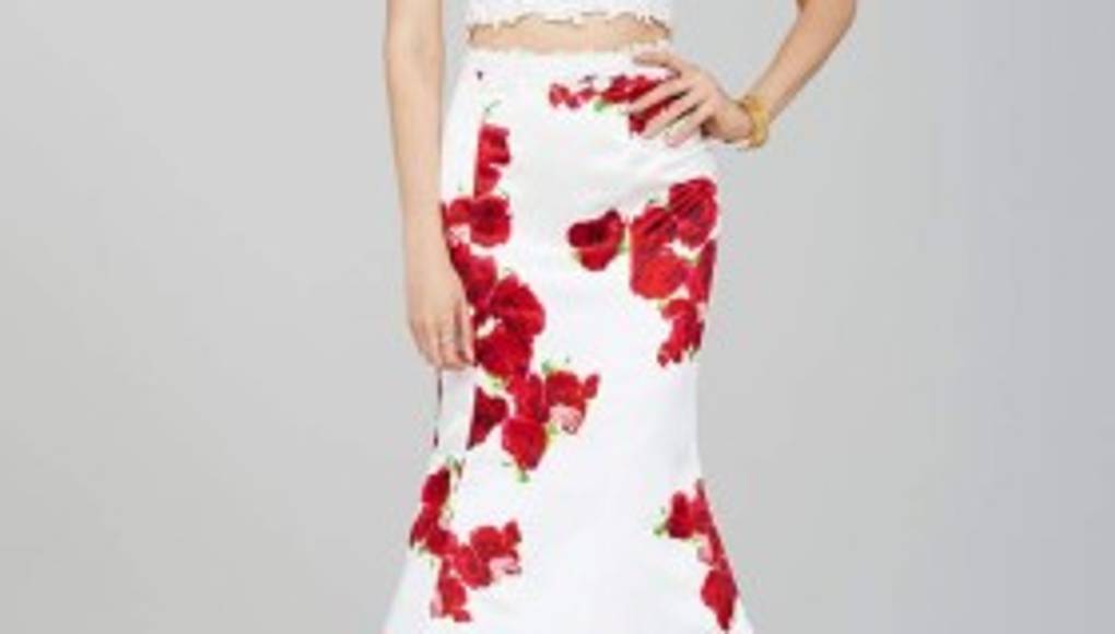 Rosas rojas, vista con la bella flor