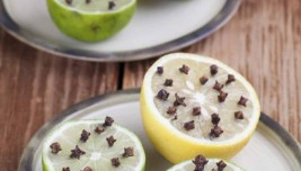 Seis repelentes naturales con aromas