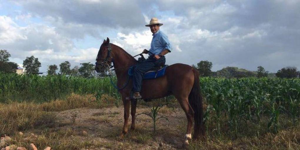 La afición de Juan Orlando Hernández por sus caballos pura sangre, a punto de cambiar de dueños (FOTOS)
