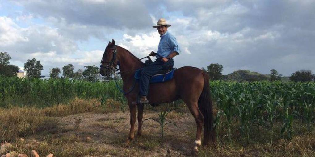 En Lempira, específicamente en Gracias, la ciudad de origen de Hernández, quien gobernó el país entre 2014 y 2022, estaba la mayoría de los animales, en una extensa finca llena de pinares. 