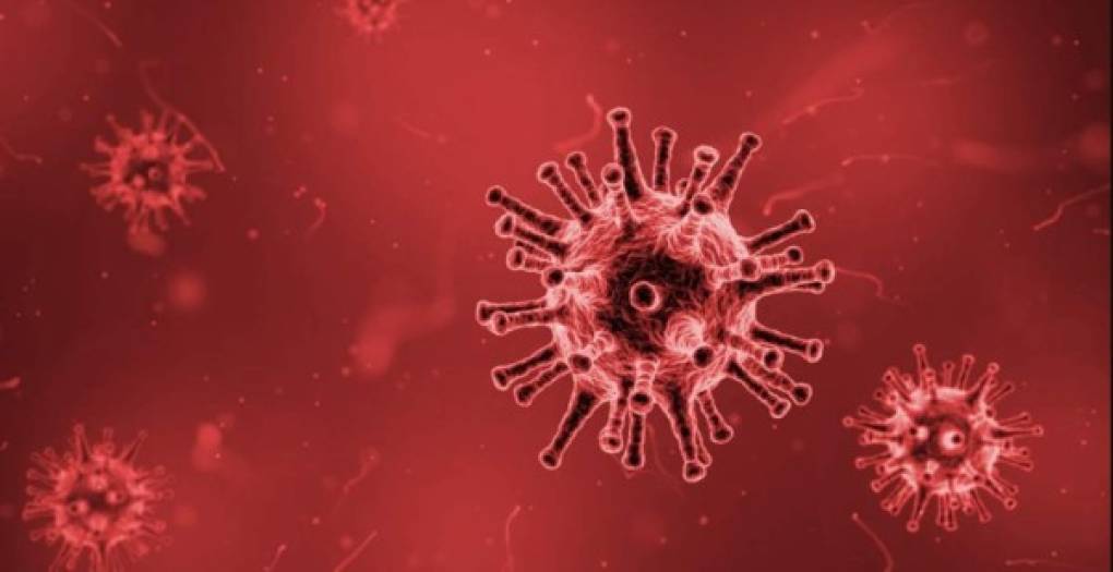 Científicos revelan cuánto tiempo permanece el coronavirus en superficies y aire      