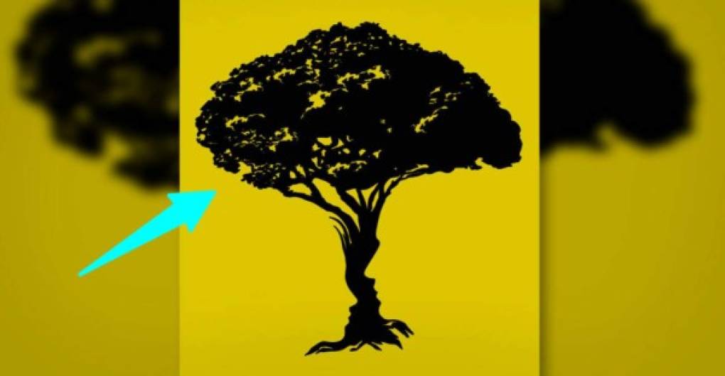 Árbol<br/><br/>Si lo primero que viste fue el árbol es posible que en la intimidad seas una pareja candente. Se entienden y comparten un lenguaje común en el placer que los hace disfrutar mucho. Aún cuando otros planos de la pareja pueden generar roces, el sexo siempre termina siendo para ustedes un espacio de descarga, conexión, disfrute y reconciliación. Equilibren los demás planos de la relación para que todo marche bien.<br/><br/>