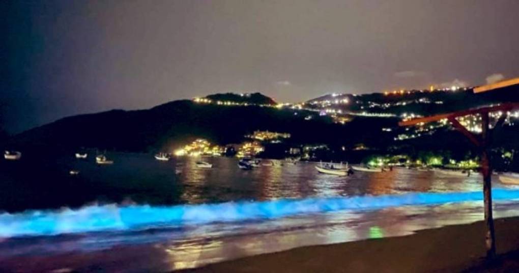 En pleno confinamiento obligatorio por el COVID-19, Una de las famosas playas de Acapulco lució unas olas brillantes la noche del lunes debido a un fenómeno natural.