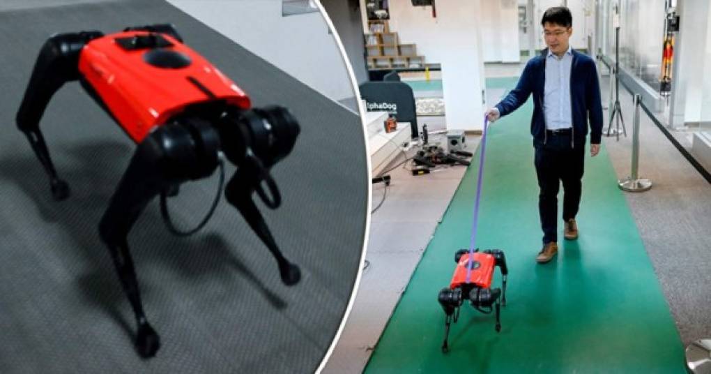 Veloz y obediente, ni ladra ni muerde, y en especial, nunca deja sorpresas desagradables en el suelo. El perro-robot AlphaDog es la respuesta a dos de las grandes pasiones de los chinos: las mascotas y la tecnología. AFP