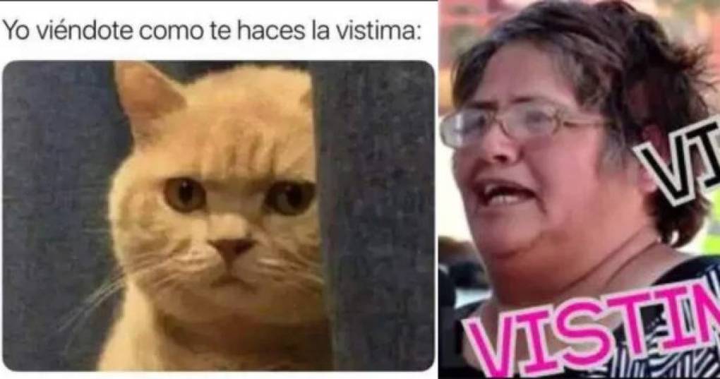 Los memes no faltaron, Elizabeth Ogaz se convirtió de la noche a la mañana en una de las mujeres con más memes en el mundo. Su frase y su palabra 'vístima' pasó a formar parte de las conversaciones cotidianas.