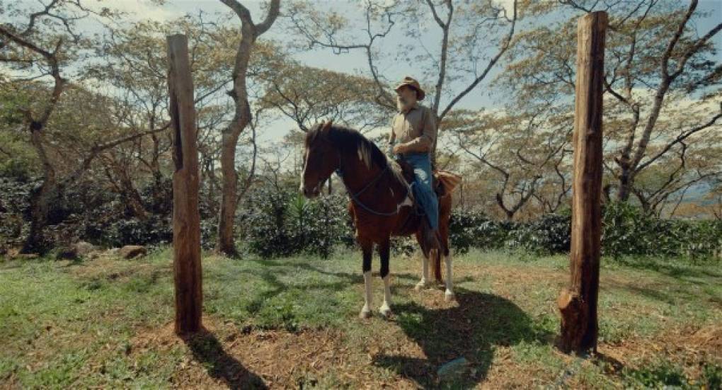 Personaje. Enrique Romero da vida a don Napo Matute, patriarca de la familia.