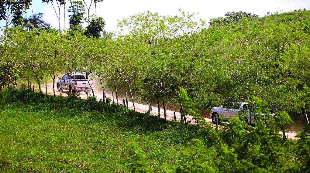 En el 2016, además de los hallazgos en Colón, también encontraron otros narcolaboratorios donde procesaban la pasta base en Omoa, Balfate, Colón y otro en El Porvenir en La Ceiba, Atlántida.