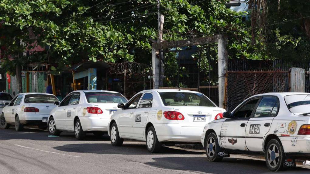 Frases célebres que usan los taxistas hondureños