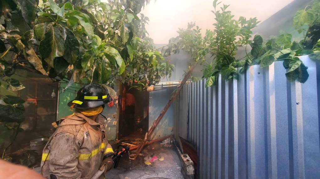 De acuerdo con la información brindada por los bomberos, las llamas fueron apagadas, utilizando, al menos, seis unidades que se desplazaron hasta el lugar. 