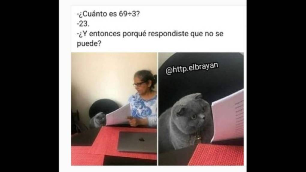 ¿Pero cuál es su origen? Desde el 16 de noviembre, el usuario @BillionTwits compartió en Twitter, una imagen en la que aparece una señora que muestra un supuesto examen a un gato. Además, el tuit incluyó el texto Bomboclaat.