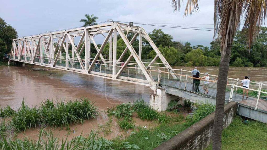 El río Chamelecón mantiene en zozobra a La Lima, Cortés (Fotos)