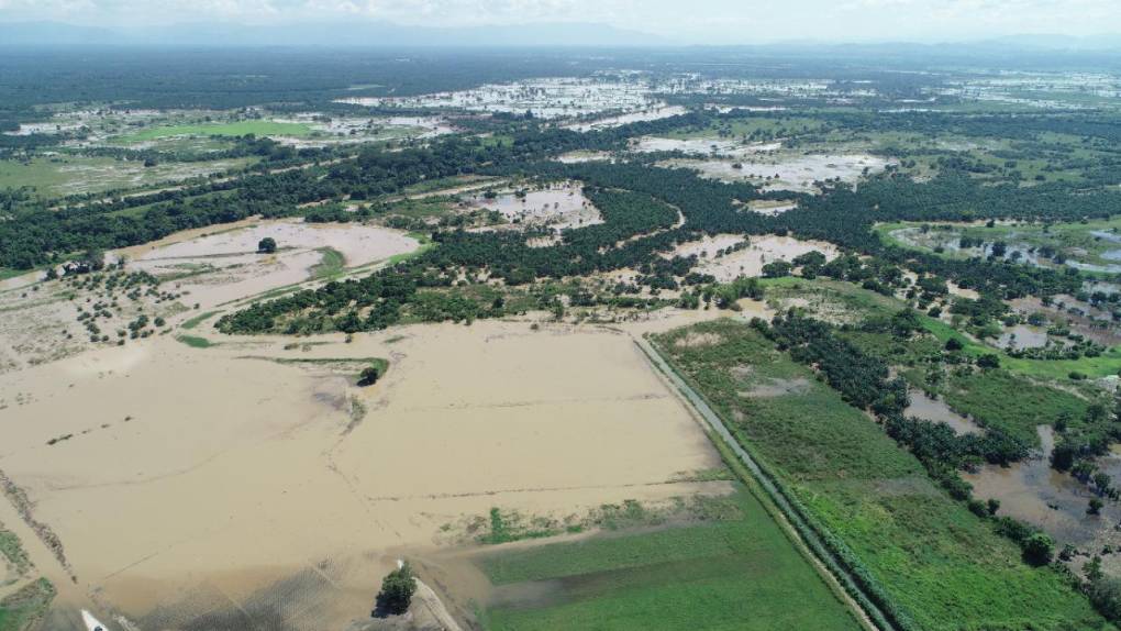 Son decenas de kilómetros cuadrados los inundados por las aguas del Chamelecón, que ya dejó una estela de destrucción especialmente en La Lima, en su recorrido desde Copán, en la zona alta de Honduras. 