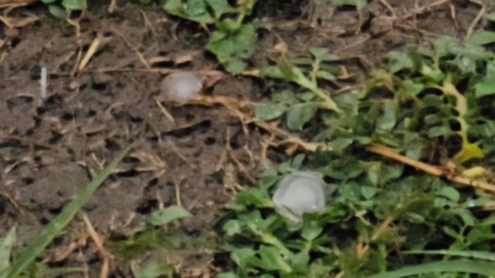 Las bolas de granizo dejó a su paso daños materiales en vehículos, tejados y campos de cultivo.