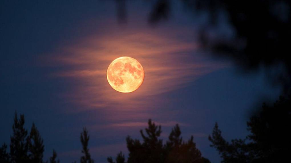 En esta ocasión, el apogeo lunar será cercano a la fase de luna llena y se le denomina microluna dado a la distancia que estará del planeta Tierra.
