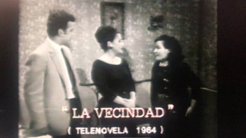 Nacida en Torreón, en el norteño estado de Coahuila en 1939 -según la página oficial de la Cámara de Diputados- la actriz tuvo su debut en televisión en la telenovela “La vecindad” (1964).
