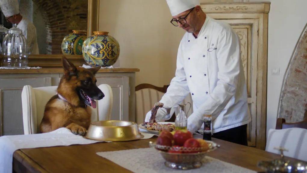 “Gunther tiene un yate, varias propiedades en Italia y veintisiete empleados. Y el que maneja este espectáculo canino es un visionario”, destaca el documental.