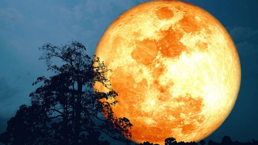 Roberto Schöngarth Carías, director nacional de investigación científica y astronomía de Western International School, explicó a LA PRENSA que esta será la luna llena más pequeña del año.