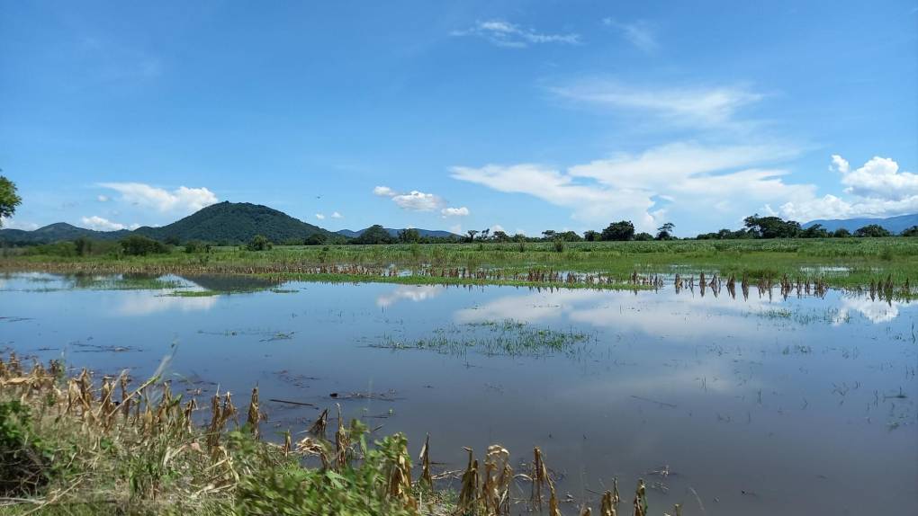 En ese sentido, Comayagua, La Paz, Lempira, Intibucá, Copán, Ocotepeque, Santa Bárbara, Cortés y Yoro ahora están en alerta amarilla “por las fuertes lluvias” que ha dejado “un sistema de baja presión”, informó Copeco. 