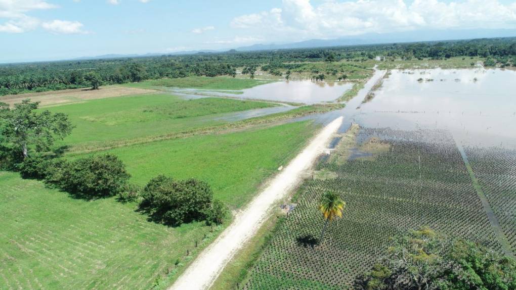 El daño en las zonas bajas de Puerto Cortés, Choloma y La Lima aún tendrá que ser evaluado por autoridades del Gobierno de Honduras.