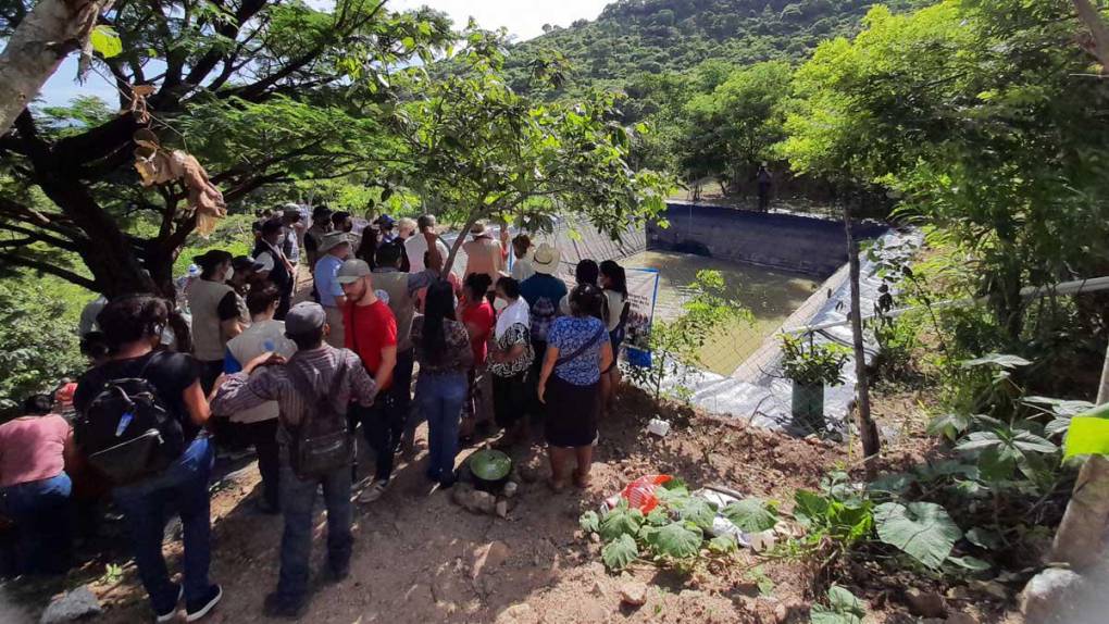 Junto al embalse comunal hay huertos, cuyos vegetales son vendidos a las escuelas cercanas para la elaboración de la merienda escolar.