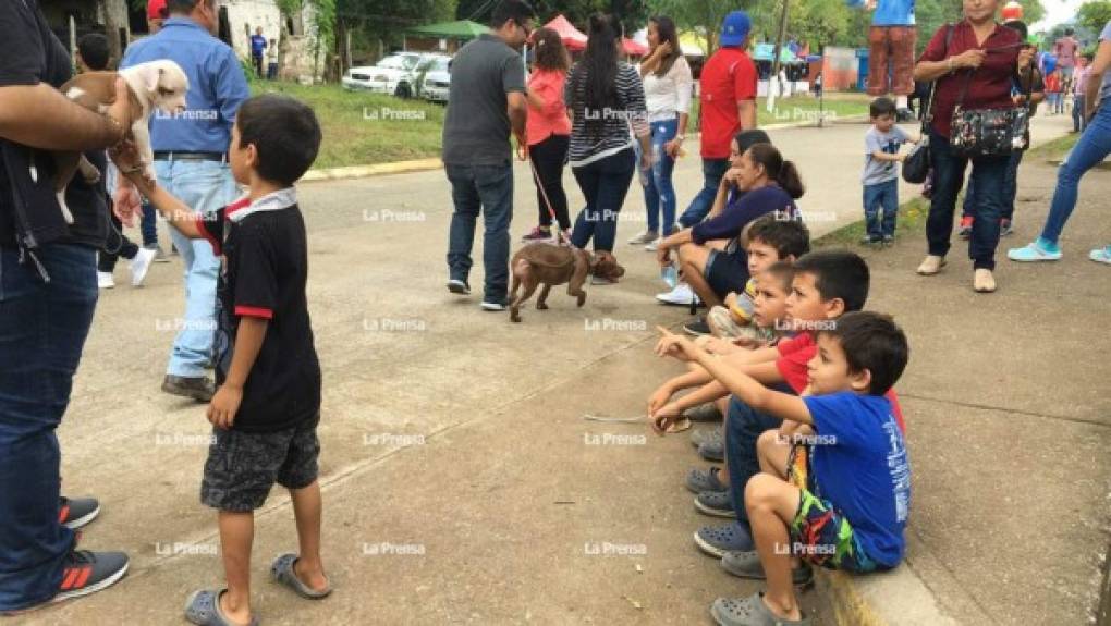 Los pequeños han disfrutado de la fiesta que se vive en Trinidad Santa Bárbara, occidente de Honduras.