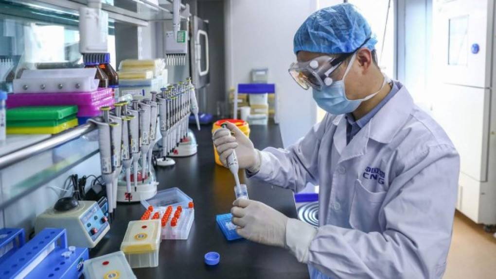 Como parte de una masiva “supresión y destrucción de pruebas”, China ordenó que las muestras del virus se destruyeran en laboratorios mientras el mercado húmedo se blanqueaba para extinguir los restos de la enfermedad, según el informe.
