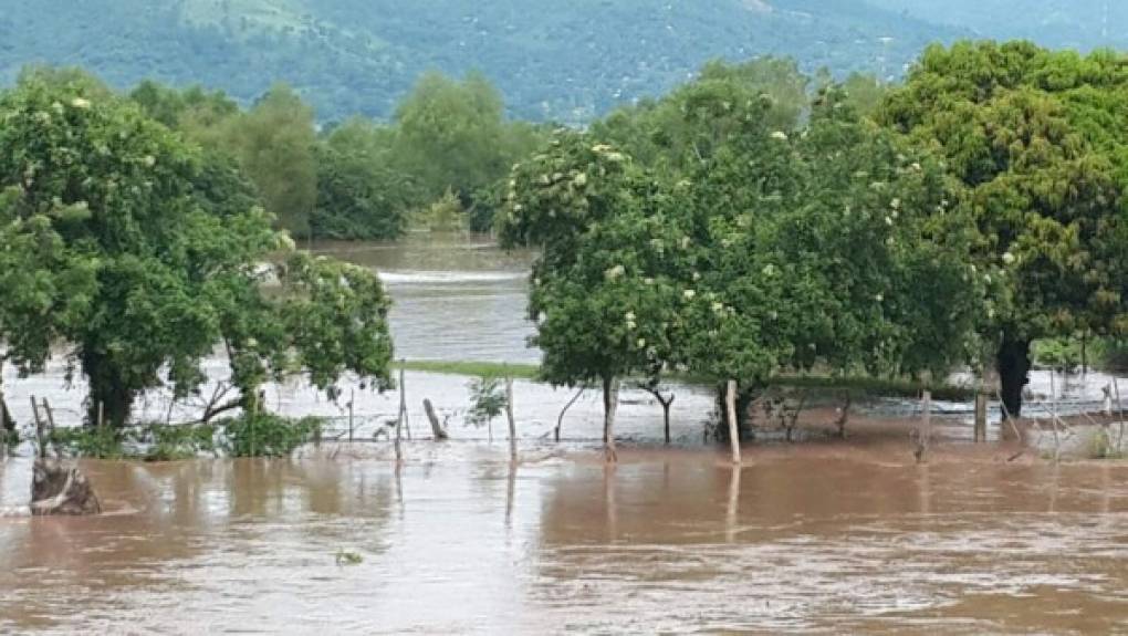 Esta imagen corresponde al norte de Honduras. El río Ulúa desbordó e inundó el municipio de Pimienta, Cortés.