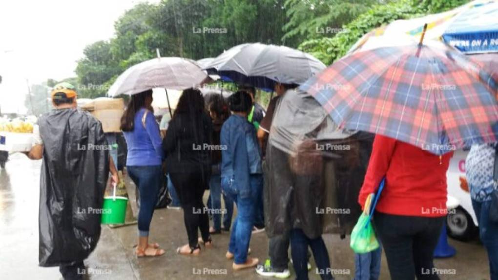 Este jueves la lluvia azotó San Pedro Sula y no fue impedimento para que más de 1,300 personas llegaran a solicitar los antecedentes policiales.