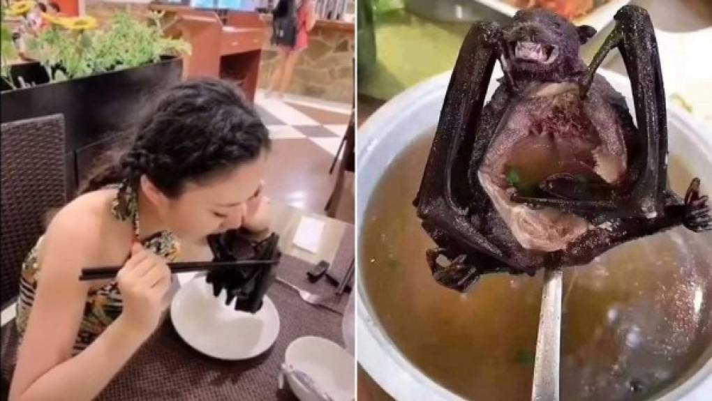 En China es muy popular la sopa de murciélago y se ha vendido en mercados de este país asiático continúan con la venta de este animal exótico que, científicamente, se ha comprobado que su consumo es letal.