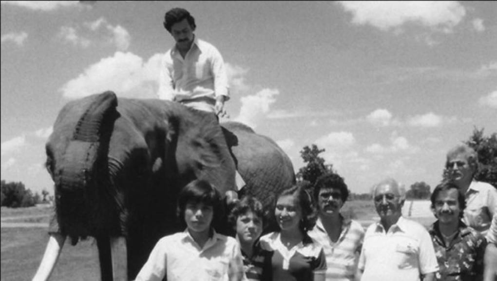 Escobar tenía su propio zoológico, con varios animales exóticos que traía desde el continente africano. En el lugar se econtraban desde hipopótamos, elefantes y avestruces. Pablo solía disfrutar su parque privado con toda su familia y amigos.
