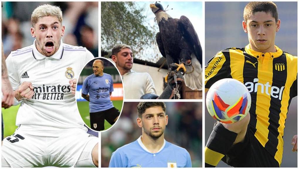 Conoce algunas de las curiosidades de Fede Valverde, próximo a debutar en Mundiales con la Selección de Uruguay. ¿Qué vínculo tiene con Fabián Coito?