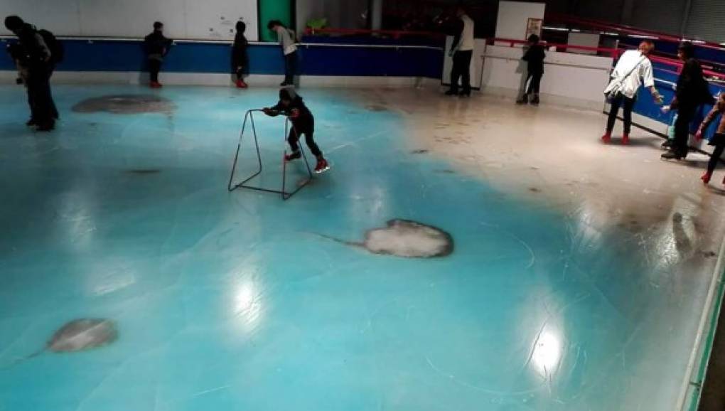 Un parque de atracciones japonés que proponía patinar sobre hielo contemplando bajo los pies las siluetas de 5.000 peces congelados debió poner fin a esta actividad tras ser blanco de una lluvia de críticas.