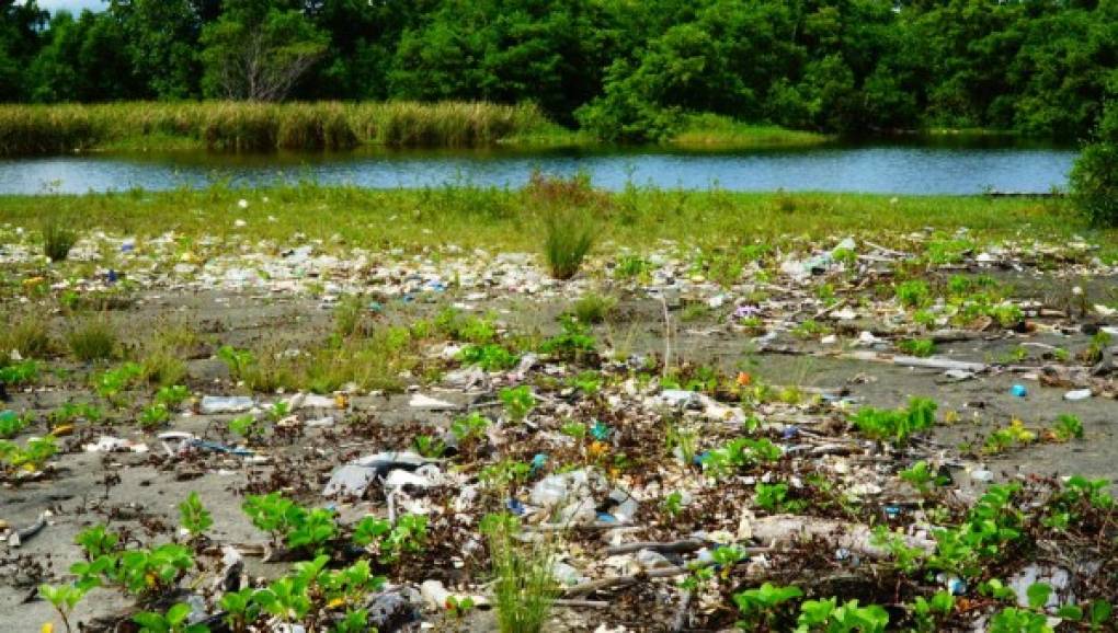 El daño es irreversible y hasta el momento, tanto Honduras como Guatemala no han podido frenar la contaminación.