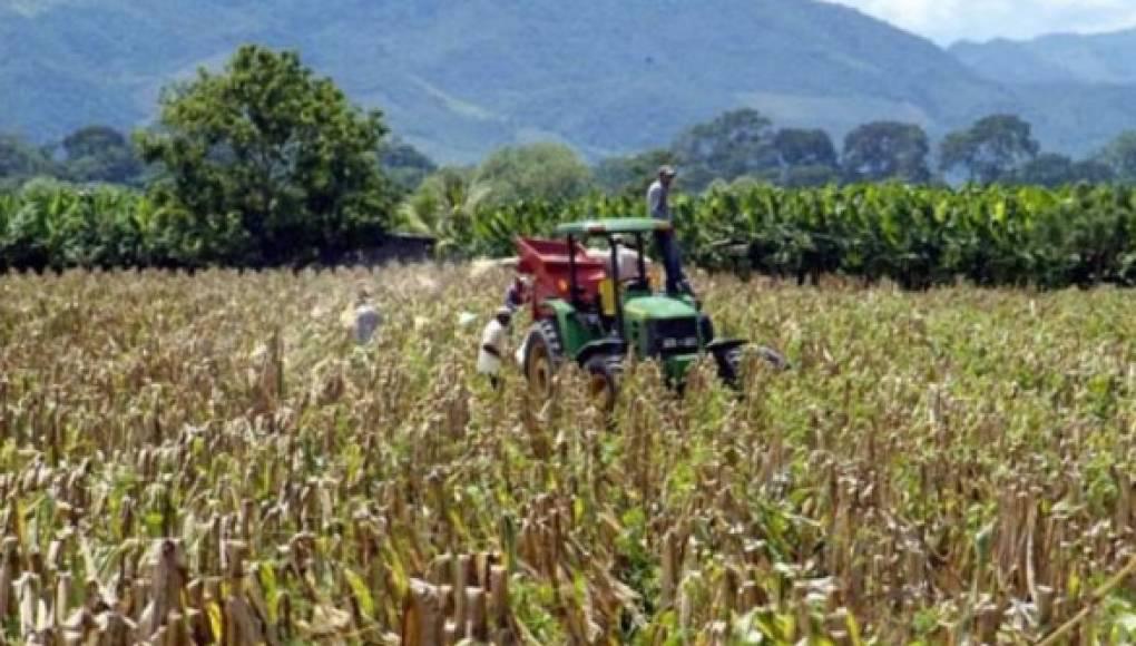 BCIE y Universidad Zamorano promueven la educación e innovación agrícola