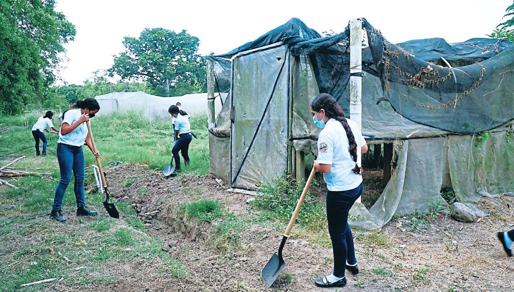 Escuela de Agricultura del Valle de Sula requiere de L1.7 millones
