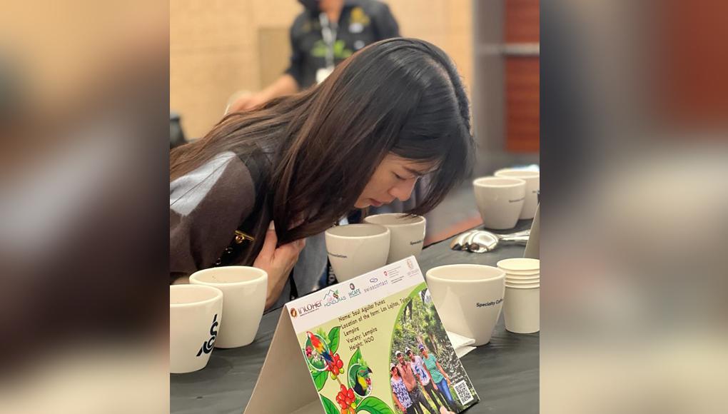 INLOHER líder en la exportación de café con sostenibilidad, calidad y trazabilidad garantizada