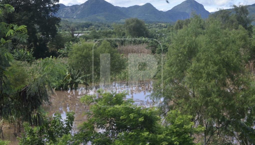 Las severas tormentas que caen sobre el valle han aumentado los caudales de los ríos Ulúa y Chamelecón. También las lluvias en occidente han elevado los niveles en las aguas de los afluentes en mención, así como sus ramales. 