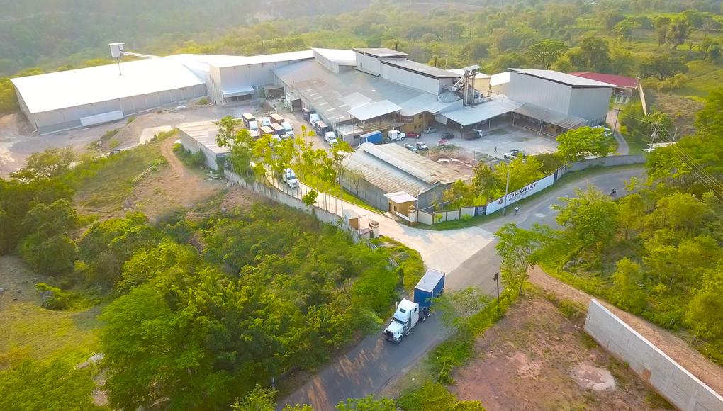 INLOHER líder en la exportación de café con sostenibilidad, calidad y trazabilidad garantizada