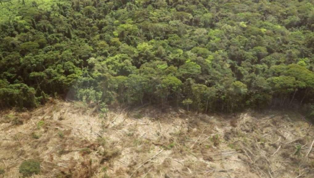 Proponen declarar emergencia ambiental para proteger fuentes hídricas en Honduras