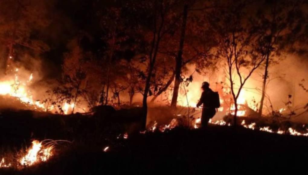 Más de 98,000 hectáreas afectadas por 1,202 incendios forestales en Honduras