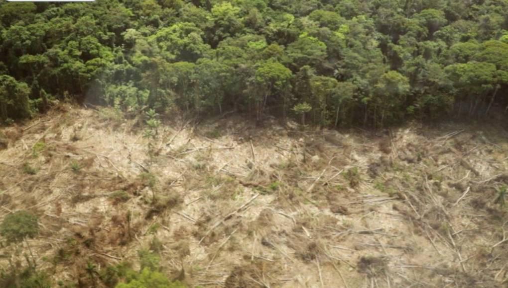 Defensores del ambiente, los más vulnerables ante la violencia en Honduras