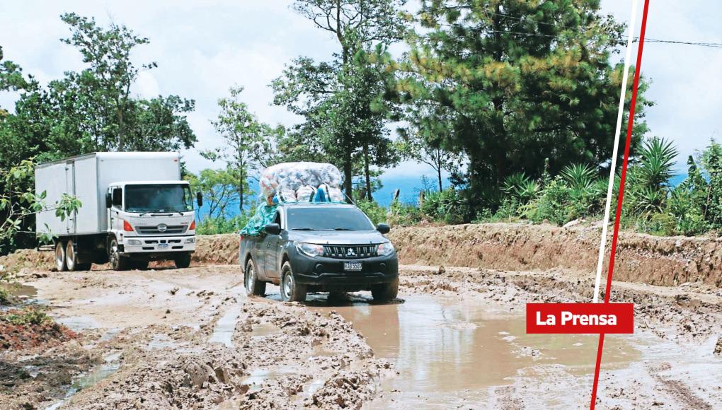 Producción de cafés especiales en riesgo por daño de las carreteras