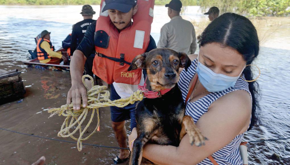 Los afectados piden a las autoridades que reparen los bordos para evitar daños mayores.