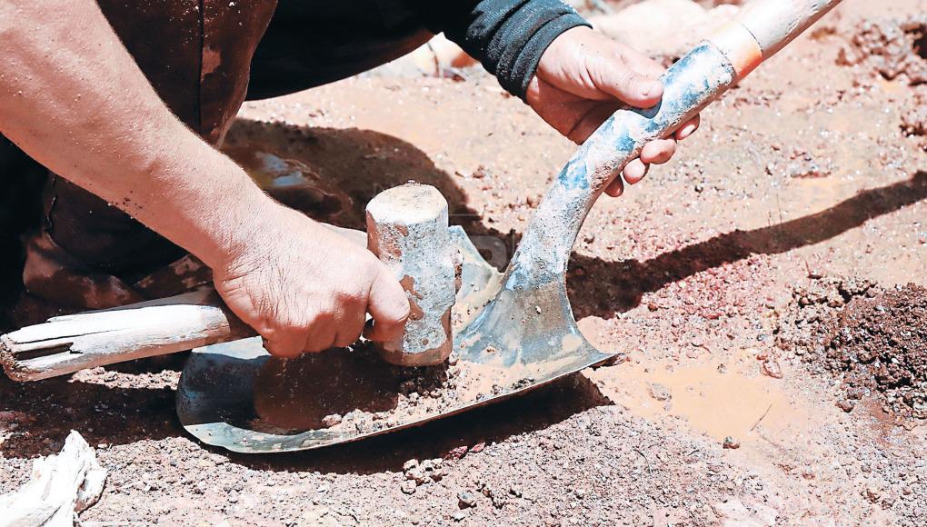 Procesan una tonelada de tierra para lograr 100 gramos.